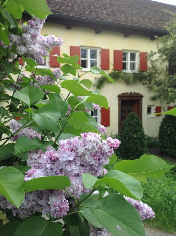 Bed and Breakfast Haus Probst Am See Шондорф Екстер'єр фото